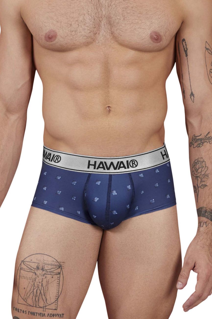 HAWAIR 42480 Printed Microfiber Briefs for Men Blue