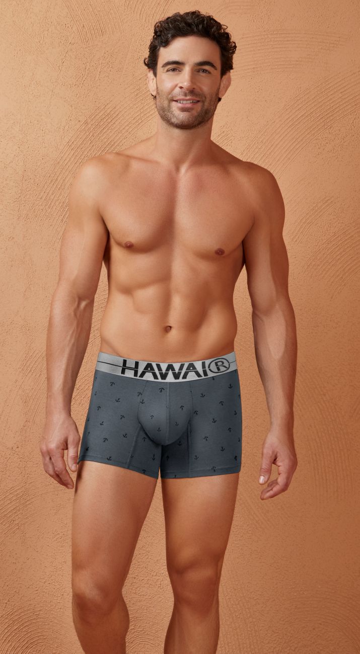 HAWAIR 42521 Cotton Blend Male Snug Fit Trunks Gray