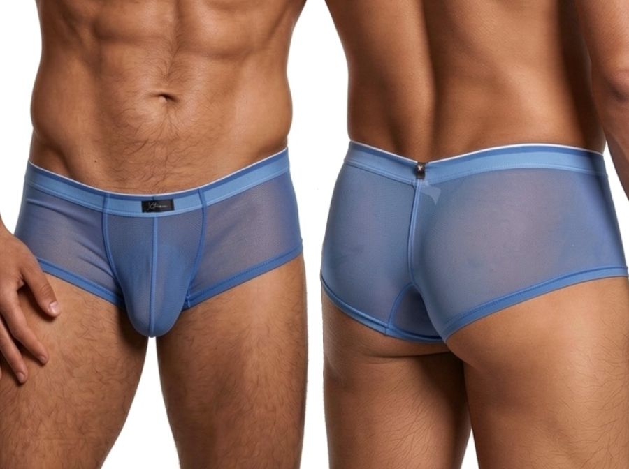 Xtremen 91263 Mens Sheer See-through Microfiber Mesh Briefs Blue