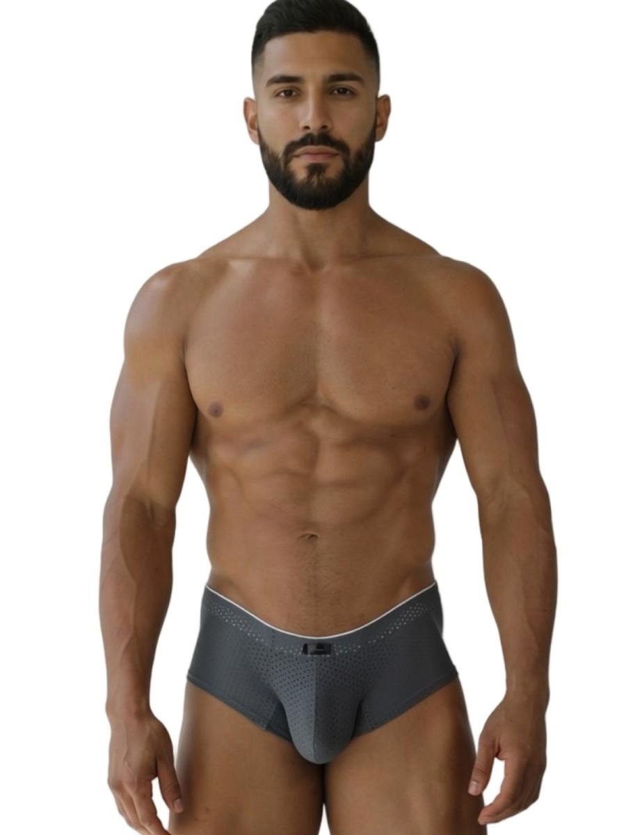 Xtremen 91269 Mens Sleek V-Cut Performance Mesh Briefs Gray