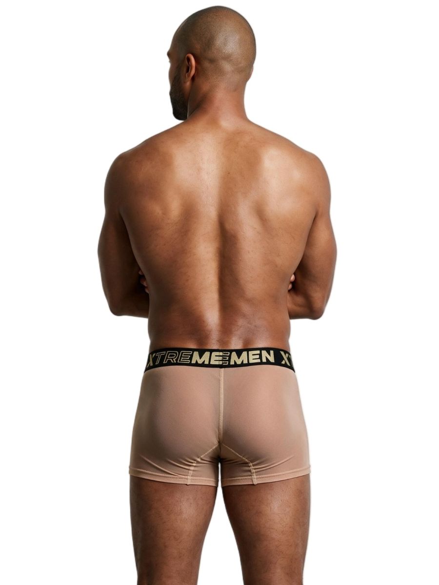 Xtremen 91277 Mens Microfiber Sheer Mesh Boxer Briefs Brown