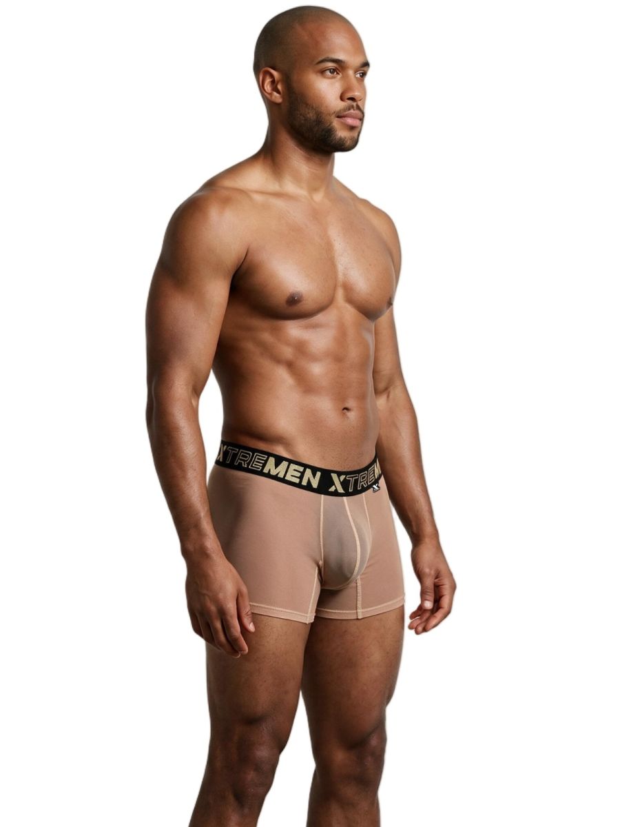 Xtremen 91277 Mens Microfiber Sheer Mesh Boxer Briefs Brown