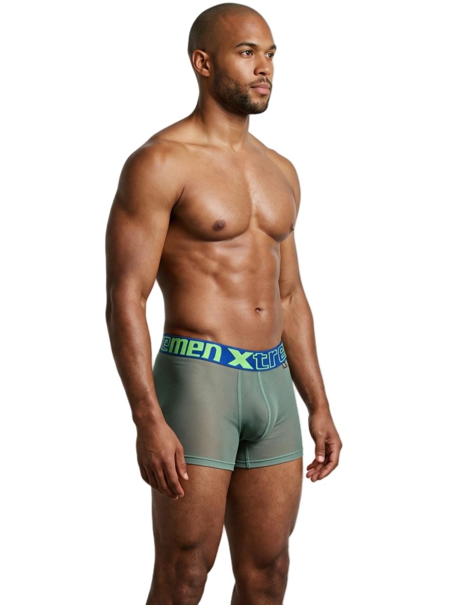 Xtremen 91277 Mens Microfiber Sheer Mesh Boxer Briefs Green