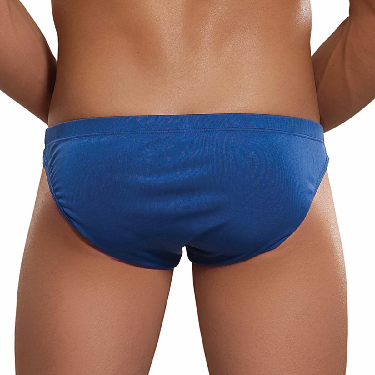Mens Silk Bikini Briefs Blue