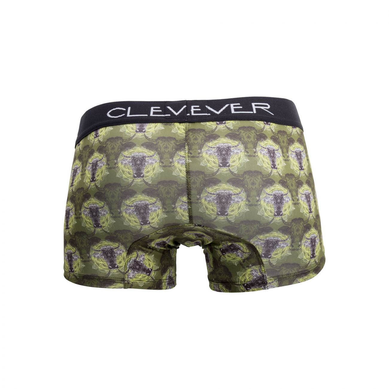 Clever 2385 Artemisia Boxer Briefs Green