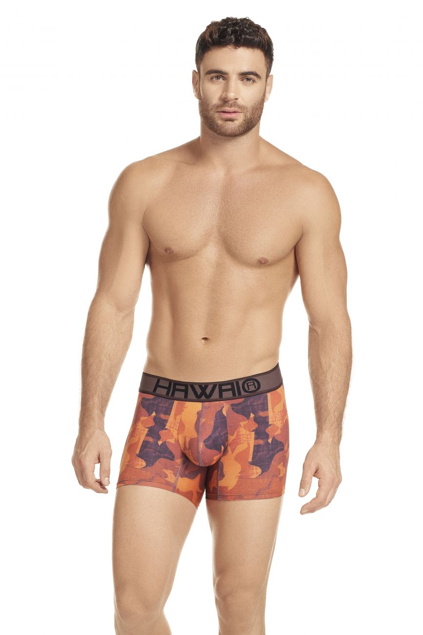 HAWAI 41971 Boxer Briefs Mahogany