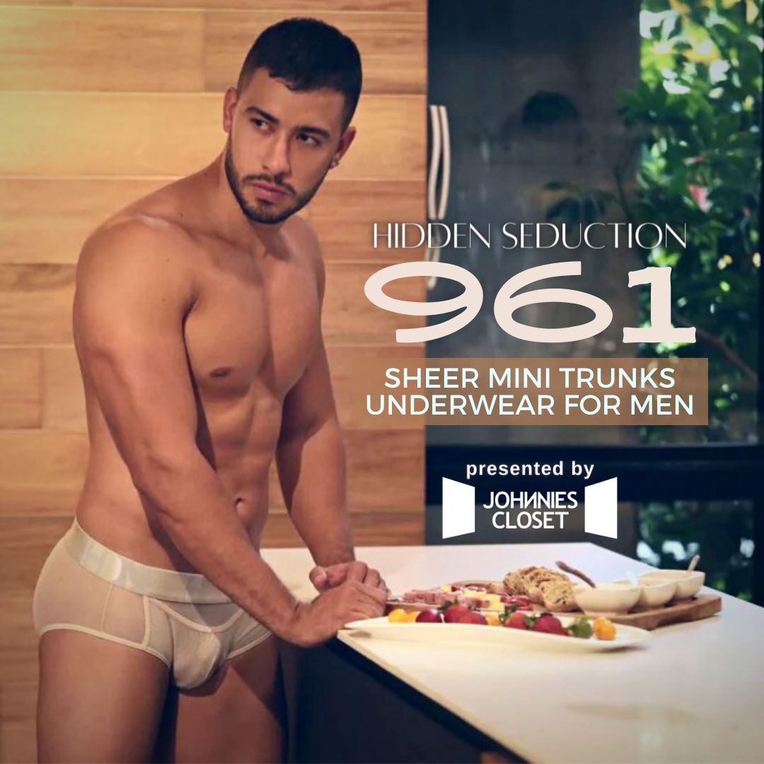 Sensual and Seductive Trunk Boxer Brief Underwear for Men by Hidden Seduction