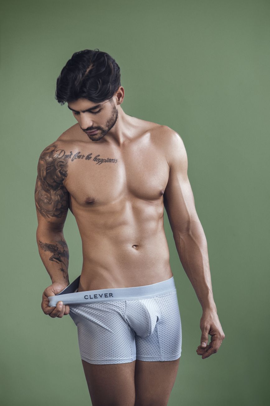 Clever 1260 Euphoria Boxer Briefs Gray