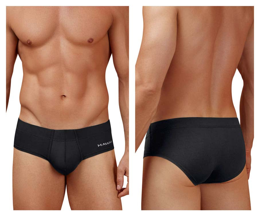 HAWAIR 42241 Microfiber Male All Day Briefs Black