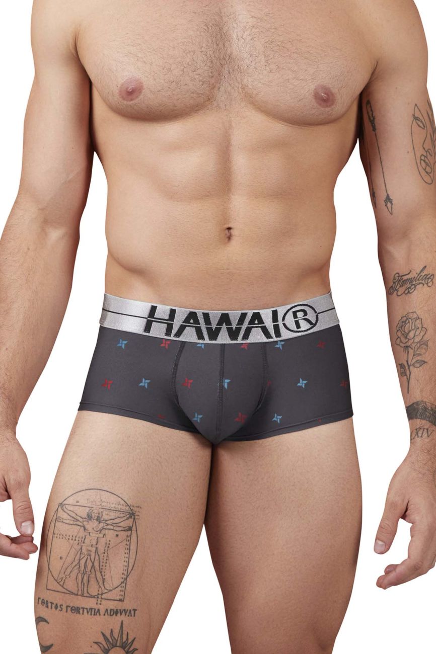 HAWAIR 42530 Printed Microfiber Briefs Grey