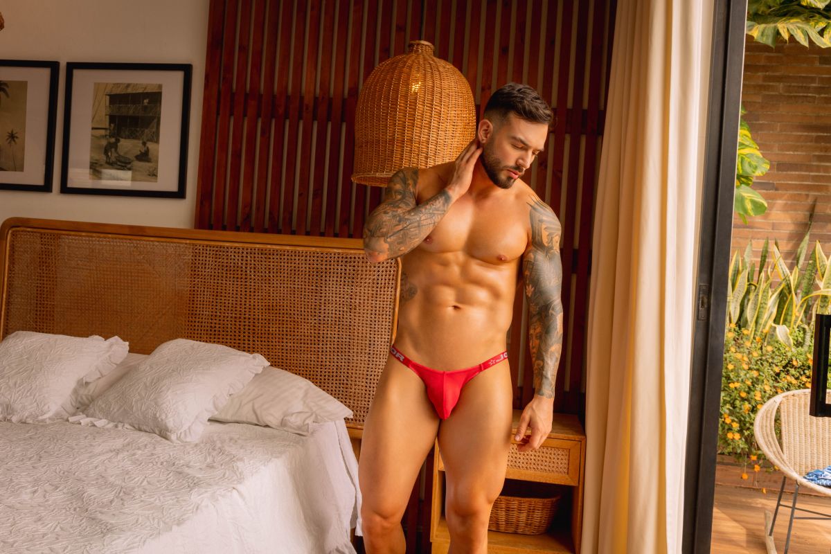 JOR 2464 Frost Mens Semi-sheer Mesh Ultra Sleek Briefs Red Plus Sizes