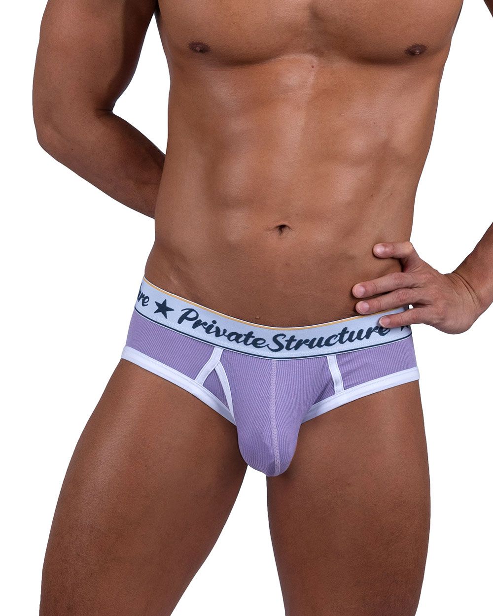 Private Structure SCUS4529 Classic Mid Waist Mini Briefs Purple