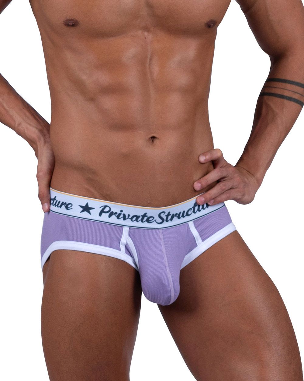 Private Structure SCUS4529 Classic Mid Waist Mini Briefs Purple