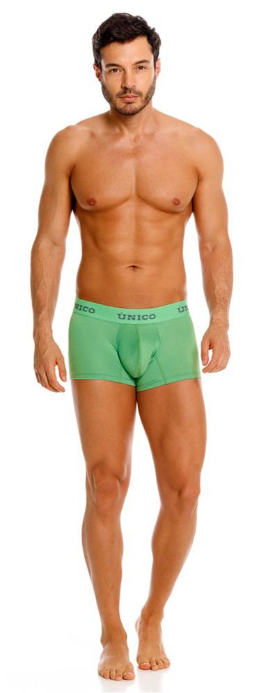 Unico 26020100119 Frog Mens Clean & Minimal Trunks Green Plus Sizes