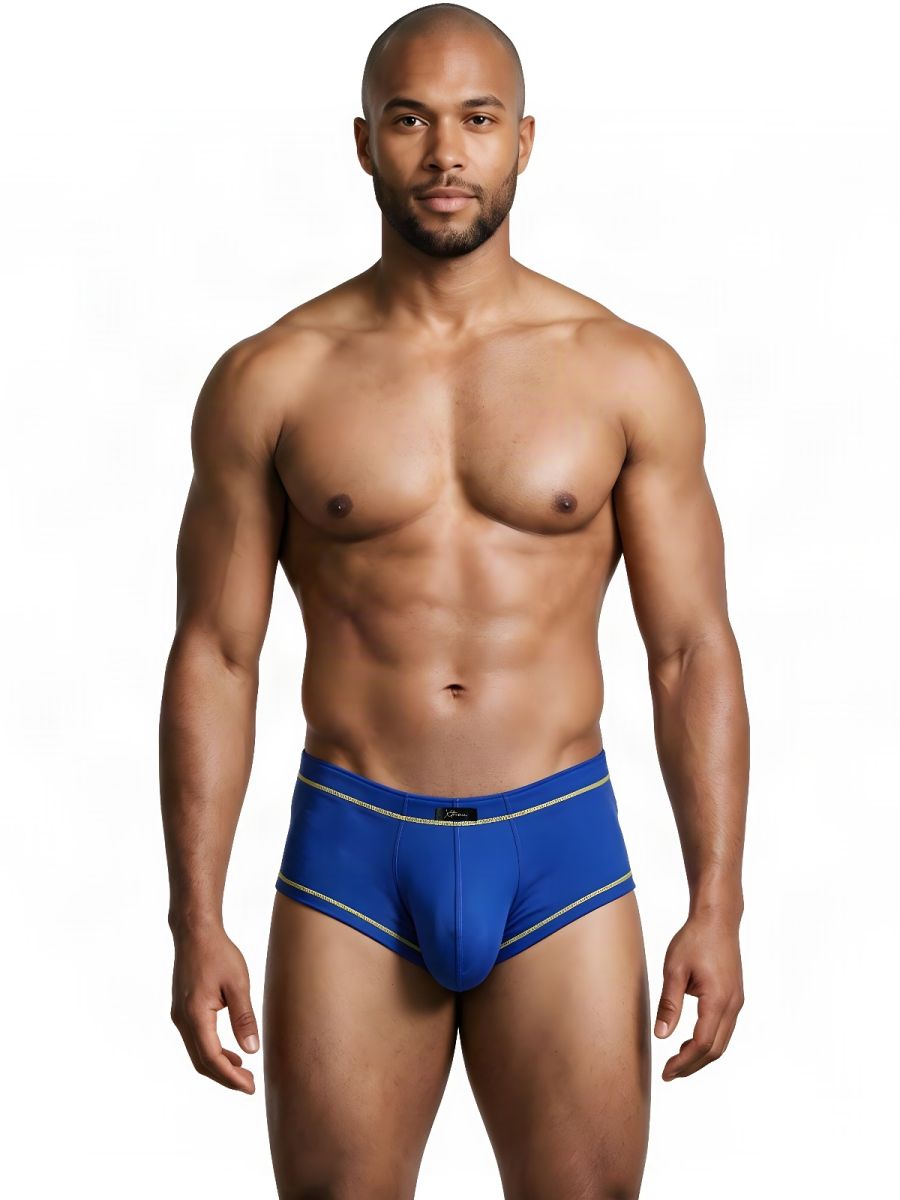 Xtremen 91260 Mens Microfiber Ultra Sleek Briefs Royal Blue