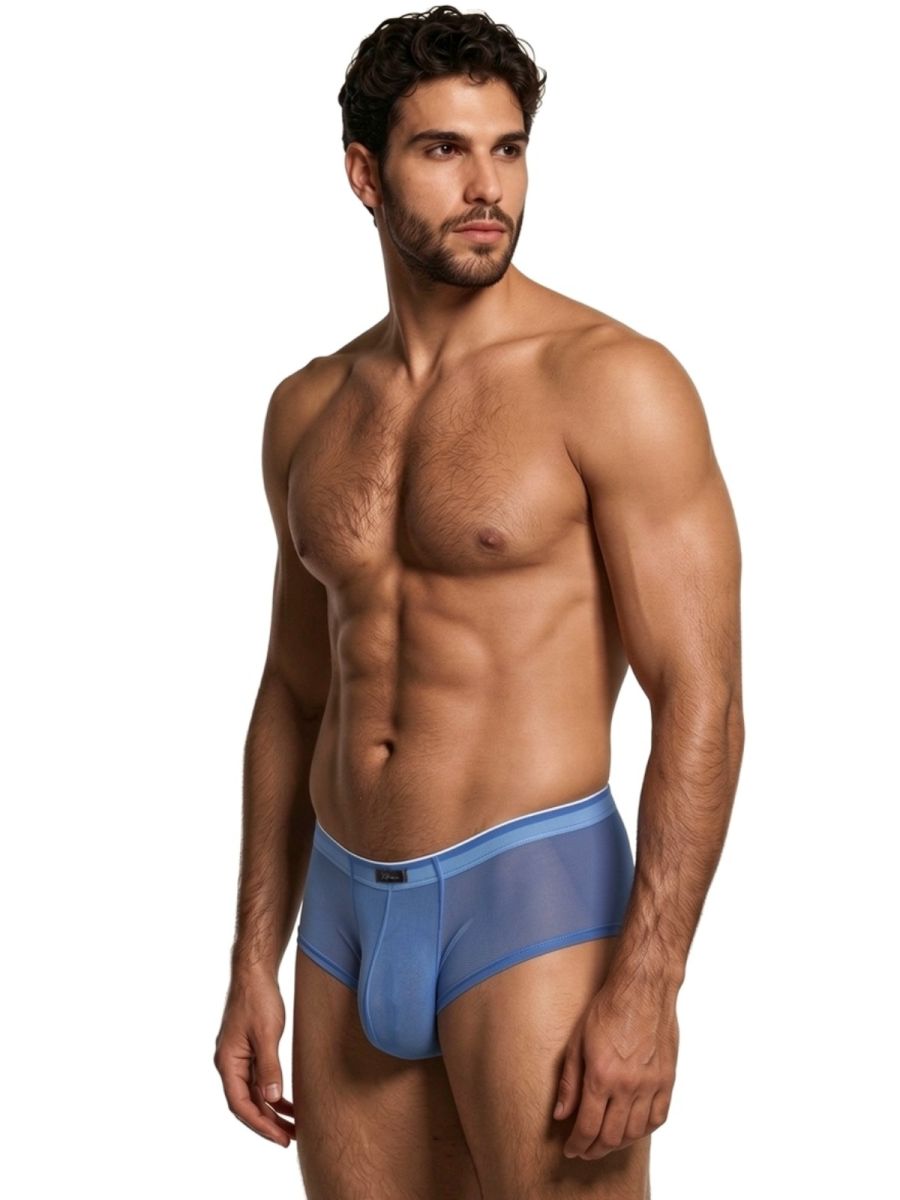 Xtremen 91263 Mens Sheer See-through Microfiber Mesh Briefs Blue