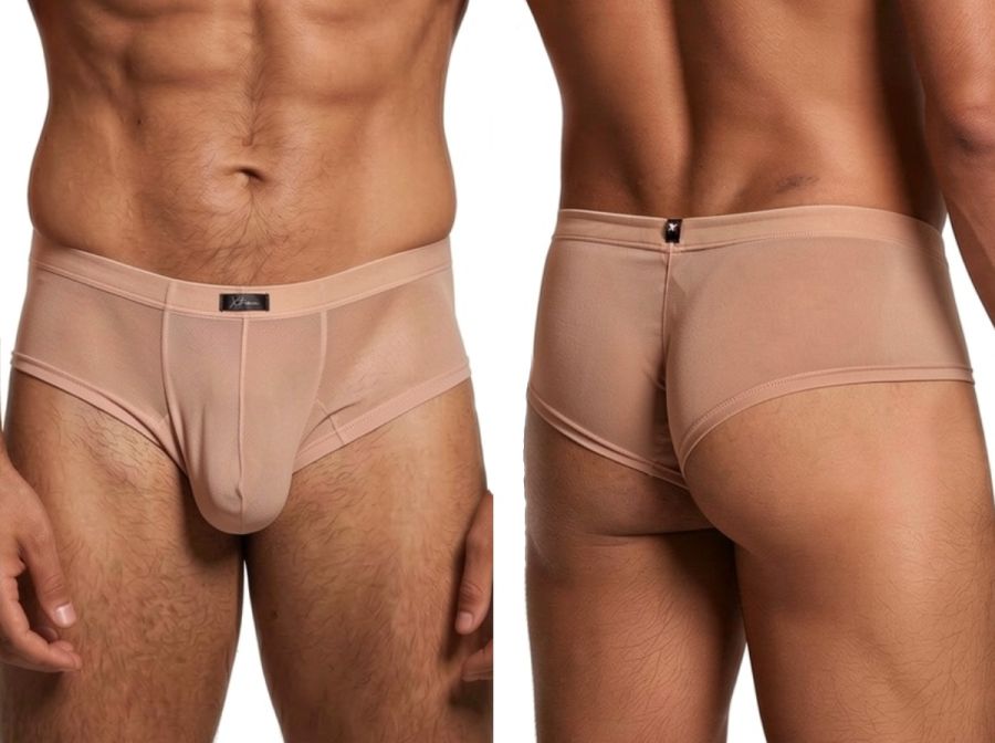 Xtremen 91263 Mens Sheer See-through Microfiber Mesh Briefs Brown