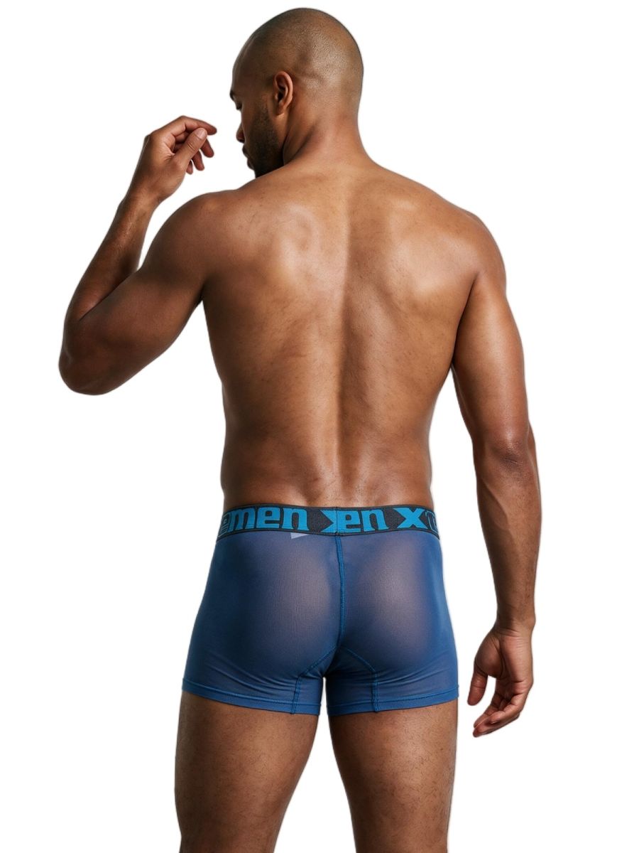Xtremen 91277 Mens Microfiber Sheer Mesh Boxer Briefs Blue