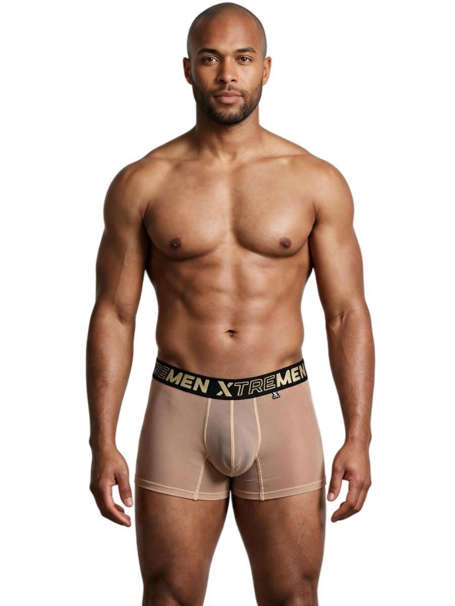 Xtremen 91277 Mens Microfiber Sheer Mesh Boxer Briefs Brown