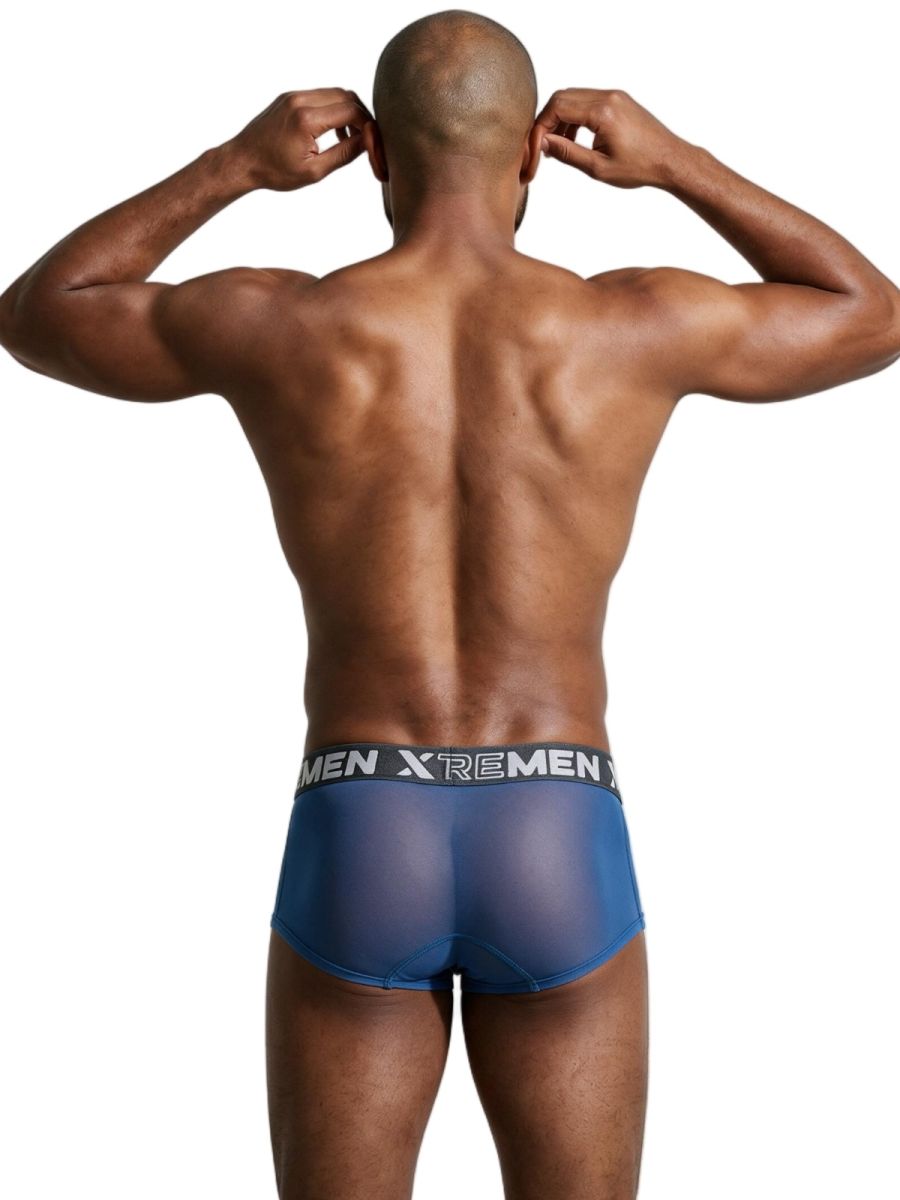 Xtremen 91279 Mens Microfiber Sheer Stretch Mesh Briefs Blue