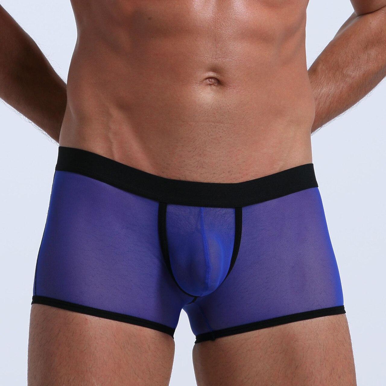 Mens Stretch Mesh Sheer Boxer Briefs with Pouch Front Blue