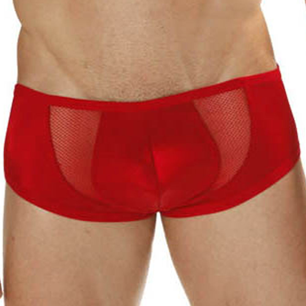 Cover Male Sheer Panel Brief Red