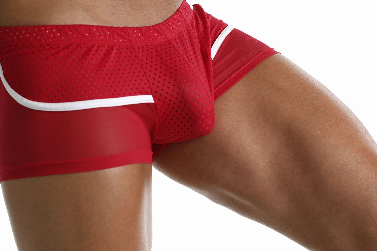 Clever 0298 Exotic Trunks Dark Red