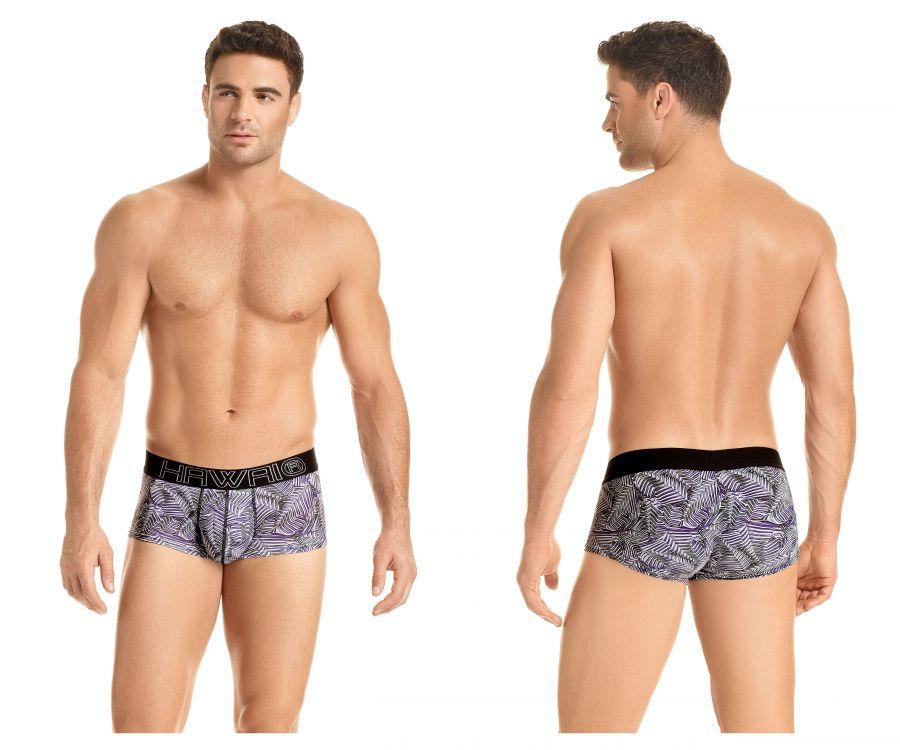 HAWAI 41934 Briefs Gray