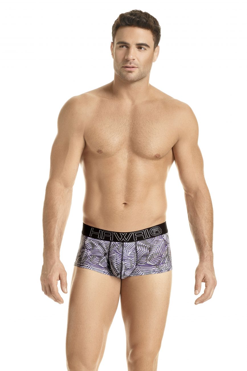 HAWAI 41934 Briefs Gray