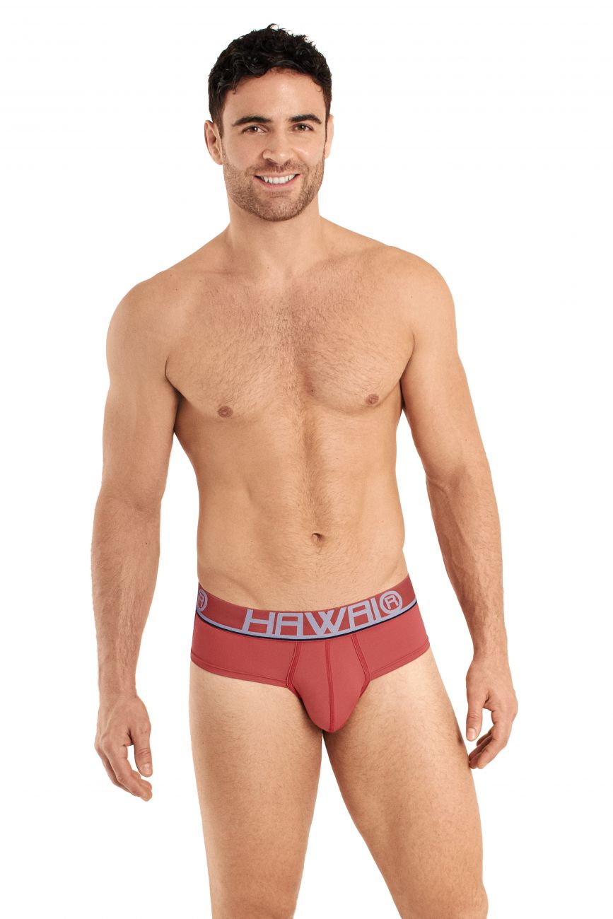 HAWAI 41963 Briefs Teracotta