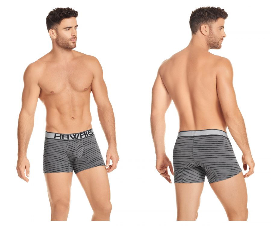 HAWAI 41972 Boxer Briefs Gray