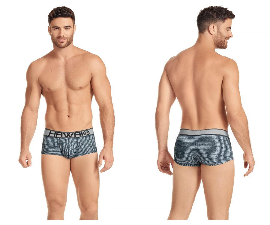 HAWAI 41975 Briefs Gray