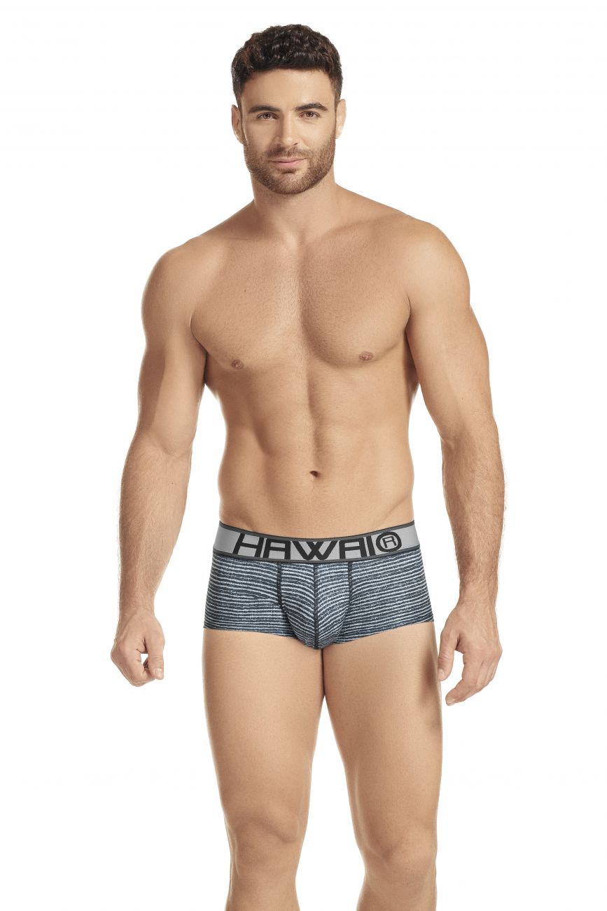 HAWAI 41975 Briefs Gray