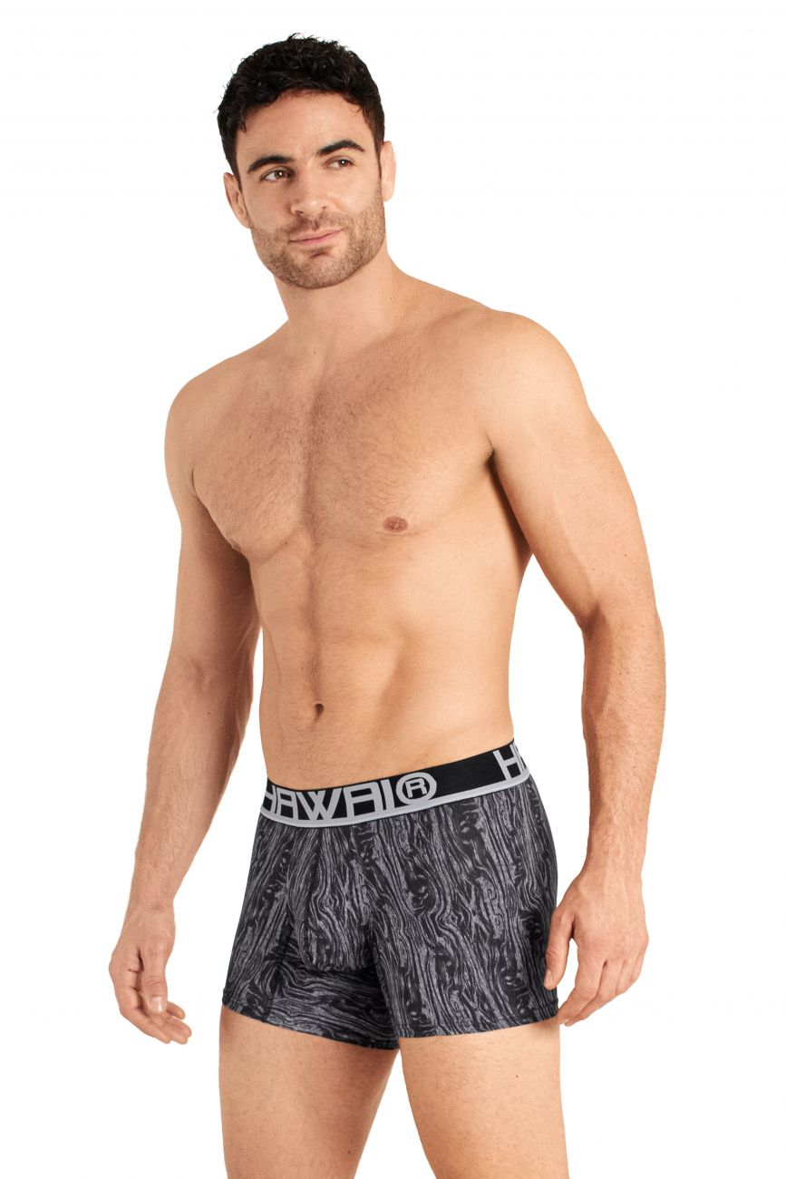 HAWAI 42021 Trunks Gray