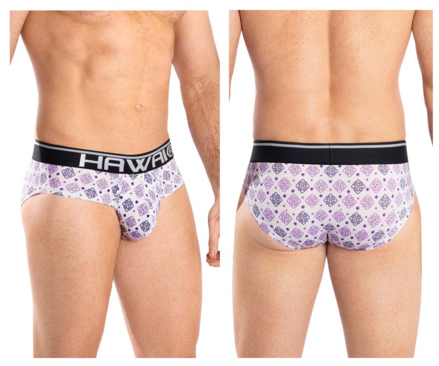 HAWAI 42050 Assorted Colors Briefs Purple