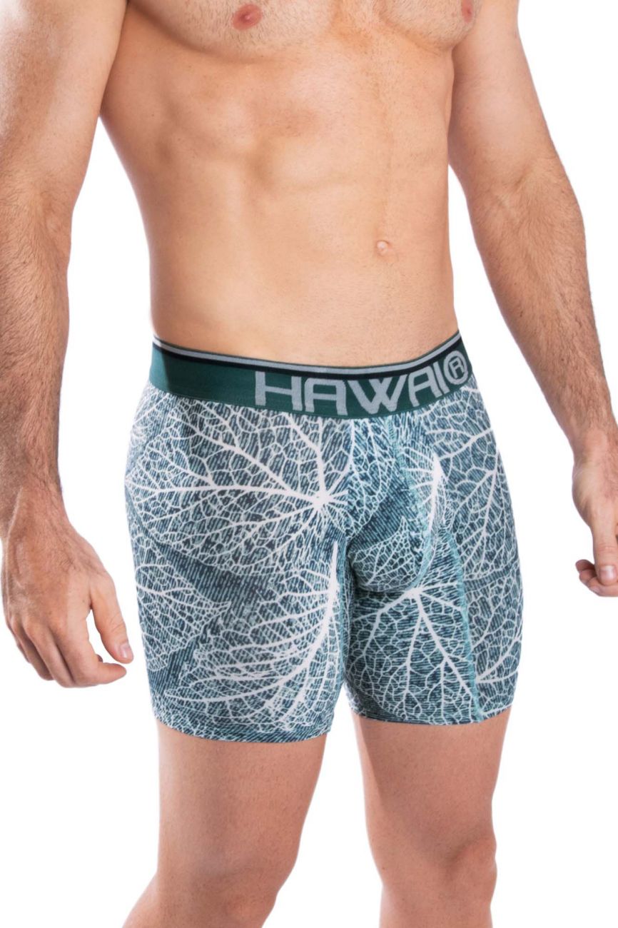 HAWAI 42104 Printed Boxer Briefs Green