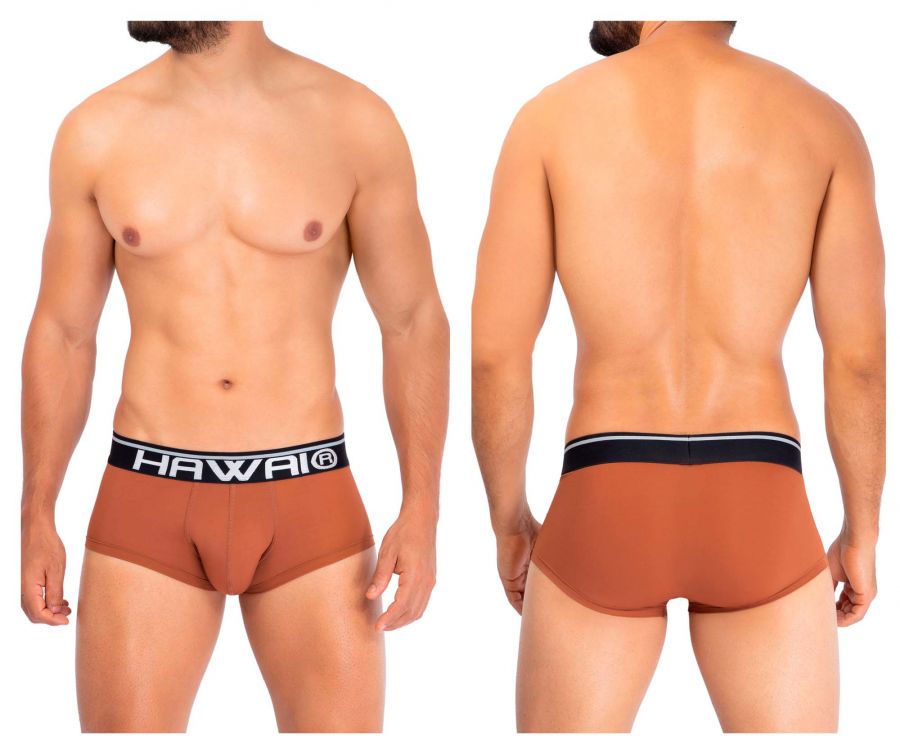 HAWAI 42181 Solid Microfiber Briefs Amber