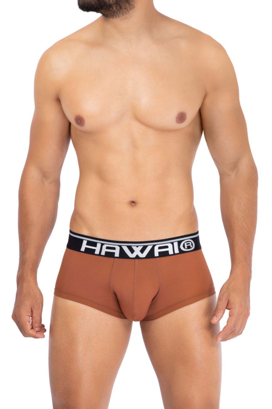 HAWAI 42181 Solid Microfiber Briefs Amber