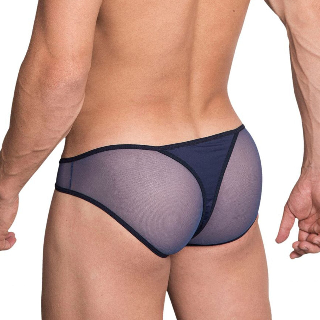 Mens Hidden Seduction Mesh & Spandex Bikini Brief Blue
