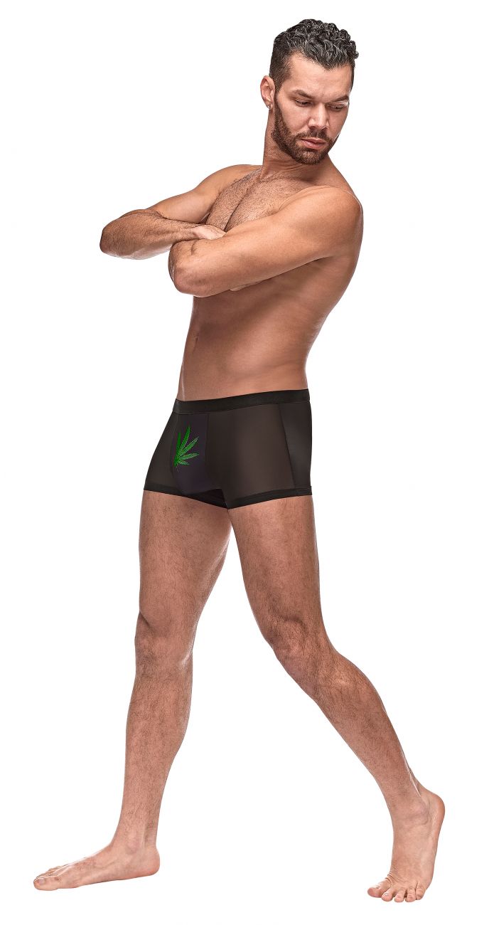Male Power 182-262 Pot print Trunks