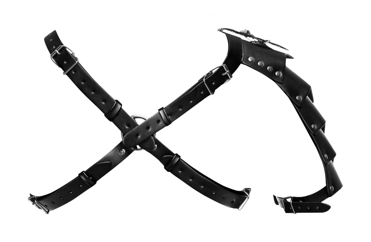 Male Power 593-266 PU Leather Aquarius