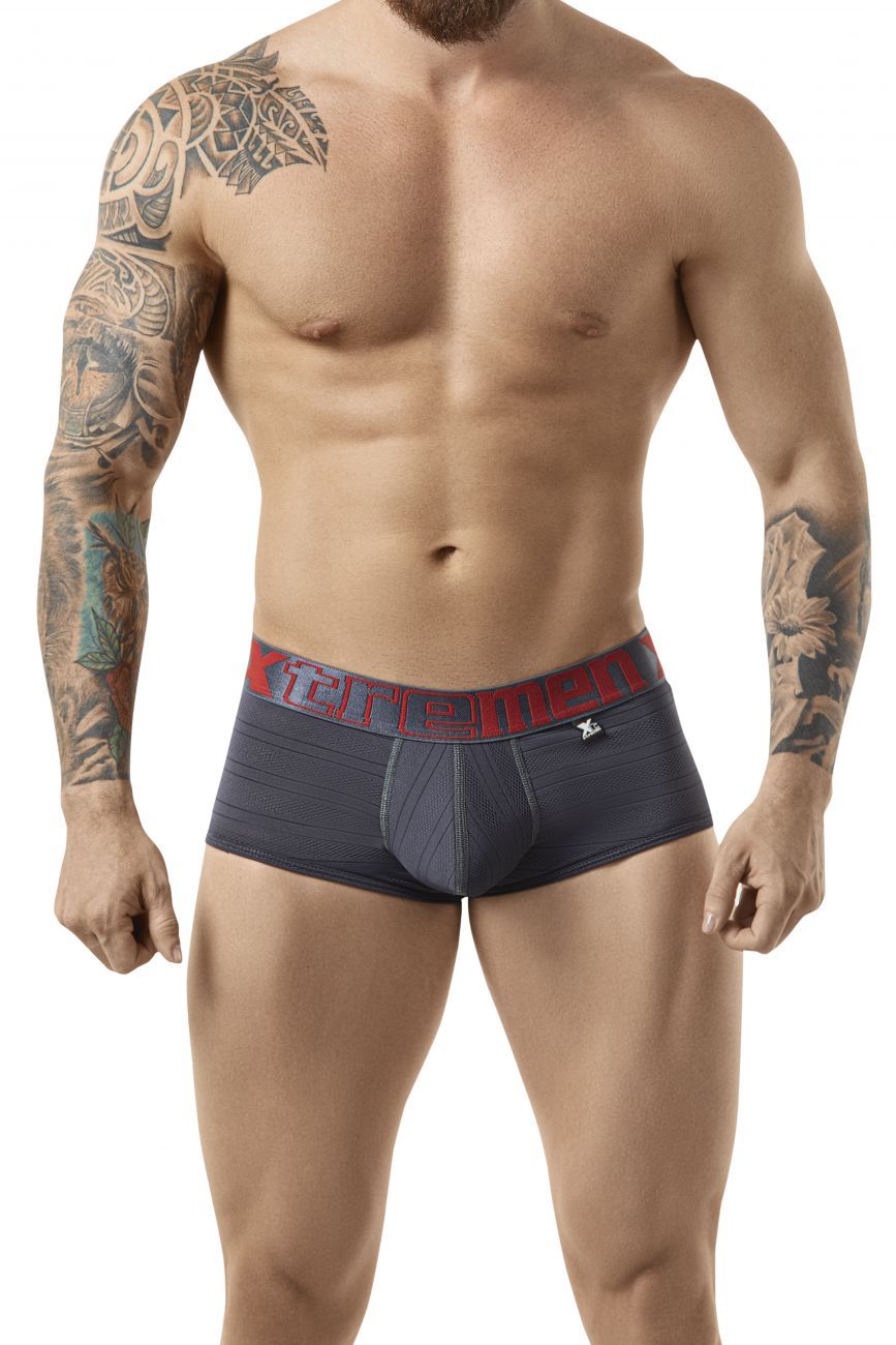 Xtremen 41305 Microfiber Brief Gray